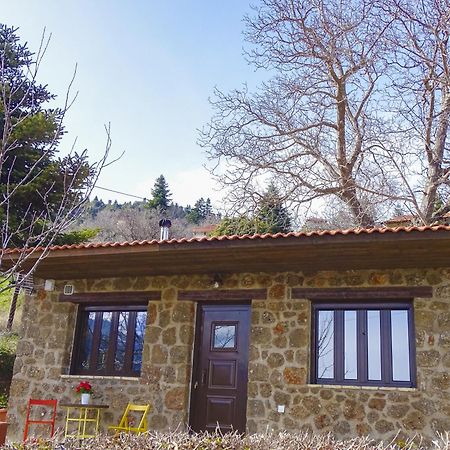 Γήλοφος Villa Ano Trikala Eksteriør bilde