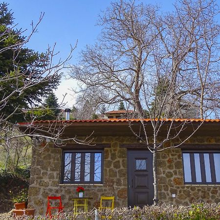 Γήλοφος Villa Ano Trikala Eksteriør bilde